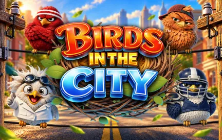 Birds in The City
